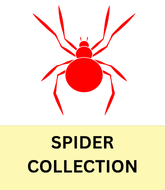 Grid Image